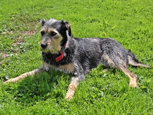 Betty