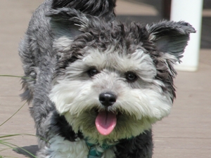 Charlie0