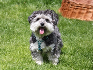 Charlie0