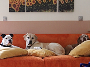 Helmut-Caspar-Leo