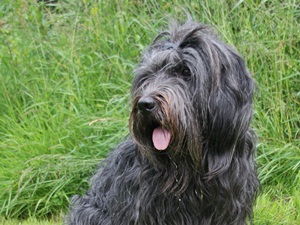 Leentje1