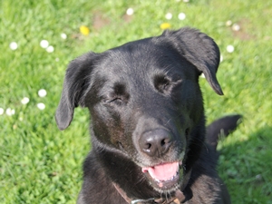Lena