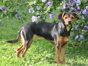 Lola