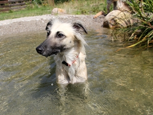 Missie