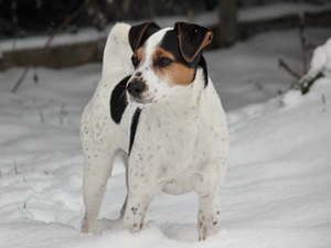 Oskar1