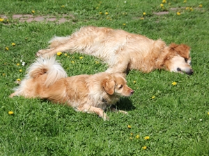 sammy3