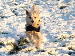 Schnee3