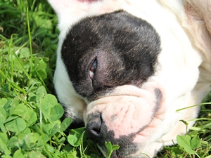 Wilma