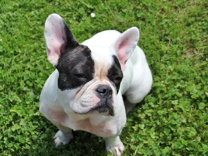 Wilma